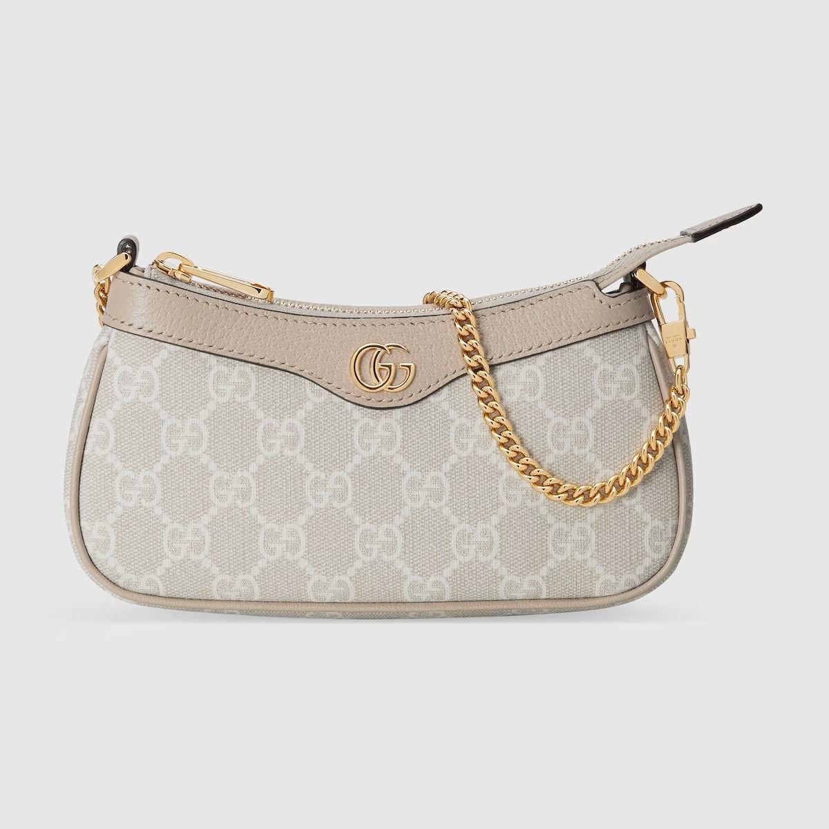 GG Handbag